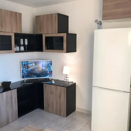 公寓 La Grande Roue Vue Magnifique 阿格德