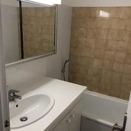 公寓 La Grande Roue Vue Magnifique