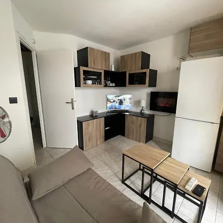 La Grande Roue Vue Magnifique 公寓 *