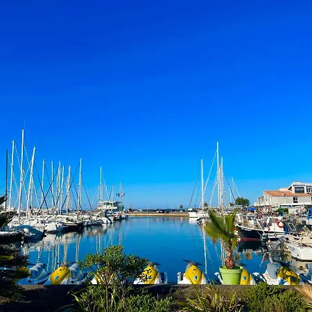 La Grande Roue Vue Magnifique 公寓 *
