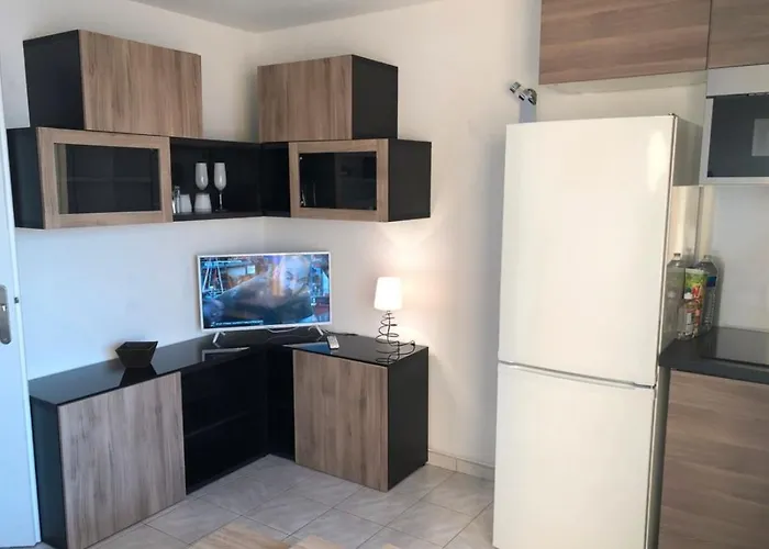 Апартаменти La Grande Roue Vue Magnifique Агд