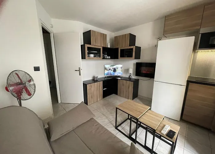 La Grande Roue Vue Magnifique 아파트 *